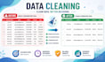 clean, deduplicate, and organize your excel database