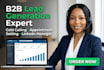 boost b2b lead generation, cold calling VA, appointment setting and linkedin