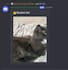 make discord bots python