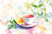illustrate custom illustration watercolor