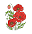 do your image embroidery digitizing and embroidery digitizer