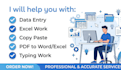 do professional excel data entry, copy paste work, and web research