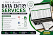 do accurate data entry, web research and copy paste tasks