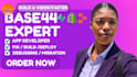 base44 bug fixing base44 expert base44 webapp base44 to wordpress