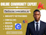 provide expert online community management and engagement