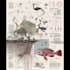draw a scientific illustration