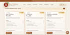 be your business analyst and frontend web developer