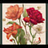 create a beautiful vintage botanical illustration