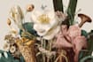 draw a botanical illustration