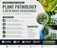 write scientific articles in microbiology and plant pathology