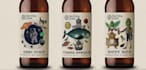 make amazing iconic craft beer label design