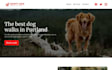 squarespace dog training website pet sitting website dog walking website
