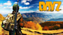 develop and fix dayz scripts, mods and server issues fast
