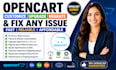 customize upgrade migrate and fix any opencart issue