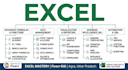 manage excel data professionally