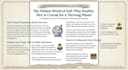 write engaging educational and health blog posts