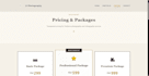 web developer for business websites