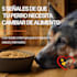 design professional instagram carousel posts in canva