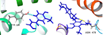 do molecular docking, cadd, and bioinformatics analysis