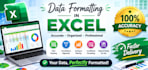 professional excel data formatting services