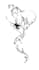 make a tattoo design
