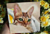 hand painted people and pets