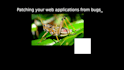 fix bugs and debug issues in your backend web application