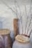create amazing ai art and midjourney illustrations