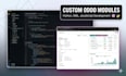 develop, customize, fix and deploy odoo modules
