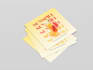 design modern and aesthetic flyers