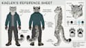 draw furry reference sheet anthro ref sheet fursona ref sheet furry ref sheet