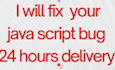 debug and fix small javascript code errors in 24 hours