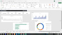 professional data analysis, excel dashboard and charts