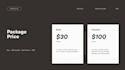 design a professional pitch deck and business presentation