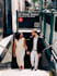 shoot your NYC courthouse wedding and ceremony