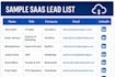 find saas decision maker leads with verified emails