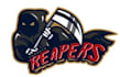 make reaper mascot logo with unlimited revision