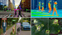 do bounding box, data annotation and data labeling
