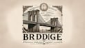 design bridge vintage logo with creative concepts