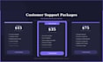 provide professional customer support