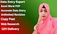 do fast and accurate data entry and excel data entry work