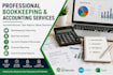 provide professional bookkeeping and accounting services