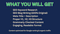 write SEO blog posts, articles and website content for your business
