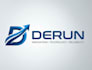 logo and product flyer design