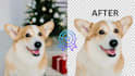 professionally image remove background