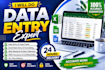 do excel data entry and professional data formatting services