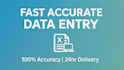 do accurate data entry and excel typing work