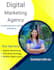 design professional and modern flyers