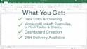 do excel data entry, vlookup, pivot tables and dashboard