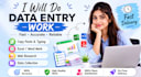 fast and accurate data entry services
